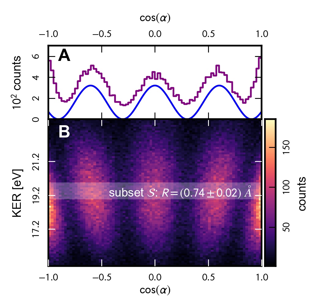 fig2